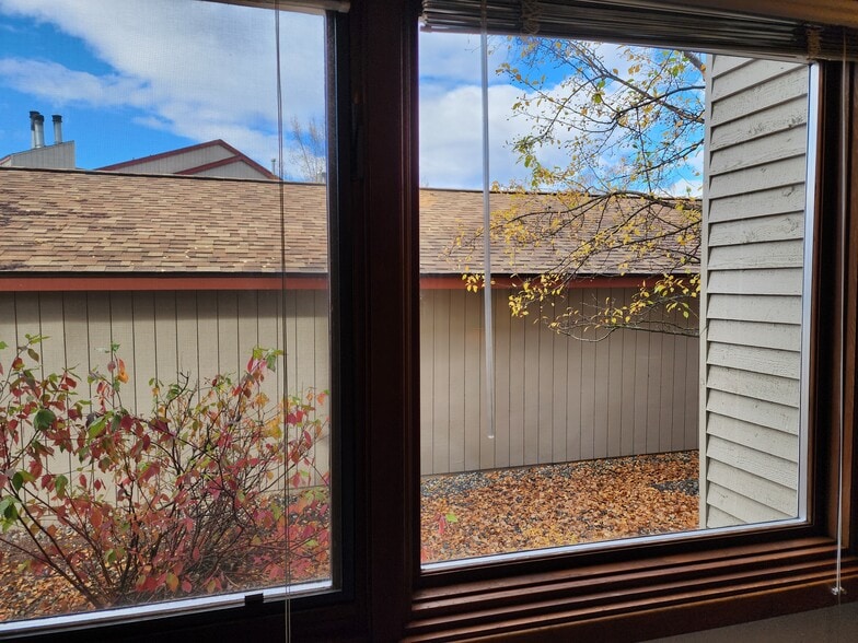 Beautiful trees, birds and peaceful back area - 9645 Independence Dr