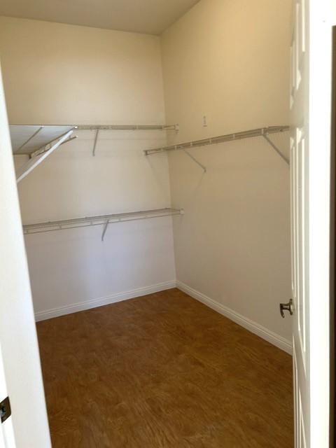 Building Photo - 1776 Cashew Tree St