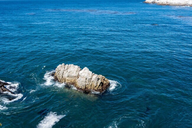 Building Photo - Bonnie's Point | Home Next to Point Lobos State Natural Reserve