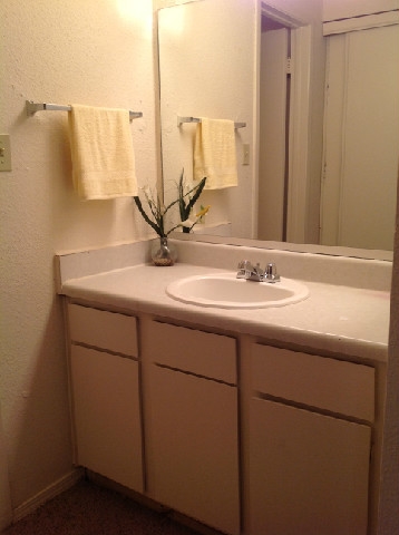 Bathroom - Piccadilly Place Apartments