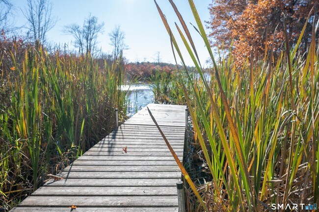 Building Photo - 12 Park Rd