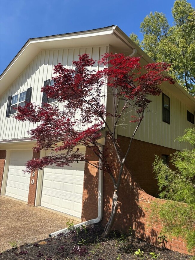 Building Photo - 8280 Chippingham Dr