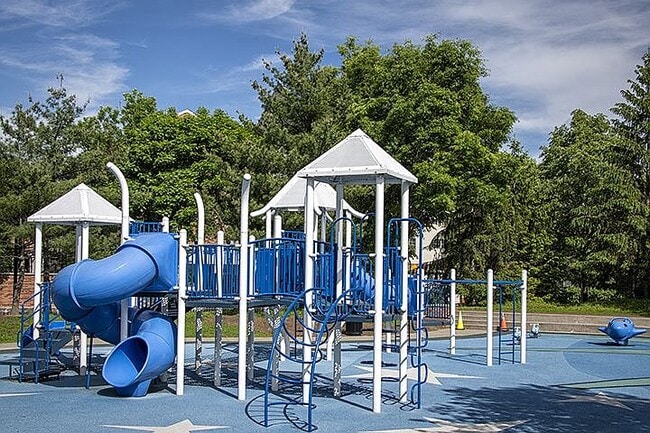 Tote Area - 15 Freedomway