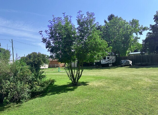 Building Photo - Charming 3 Bedroom Home in Quiet, Tree Lined Neighborhood