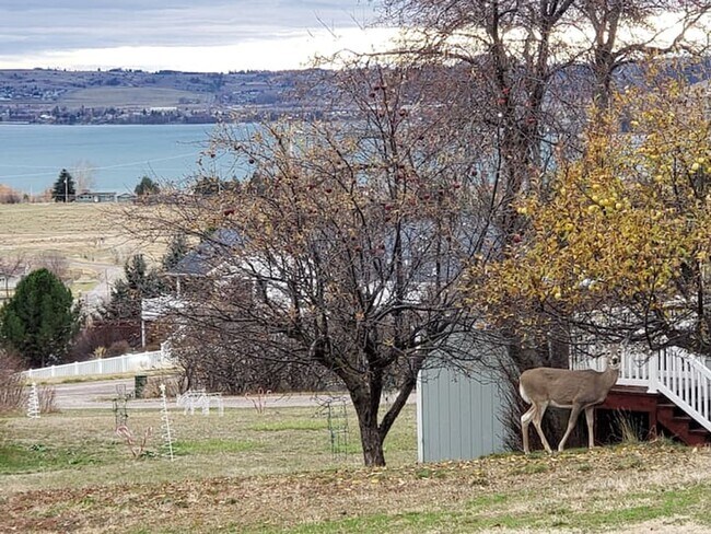 Building Photo - Log Home with close public lake access - A...