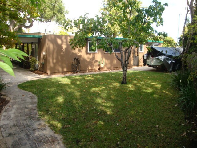 back side, Lawn Cherry tree - 683 Tiffany Ct