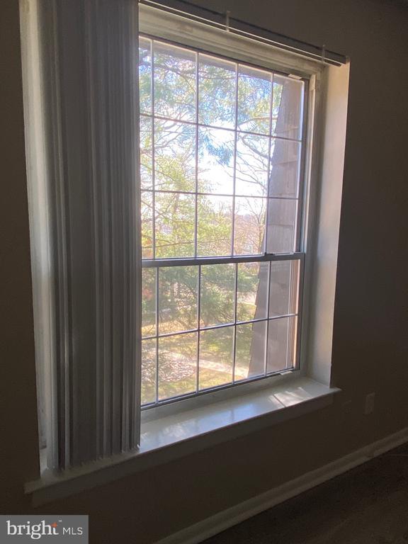 Building Photo - 4000 Gypsy Ln