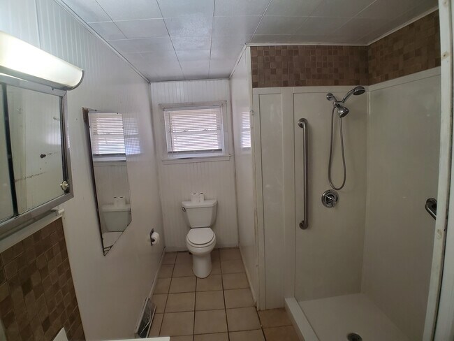 Main bathroom - 604 Walnut Ridge St