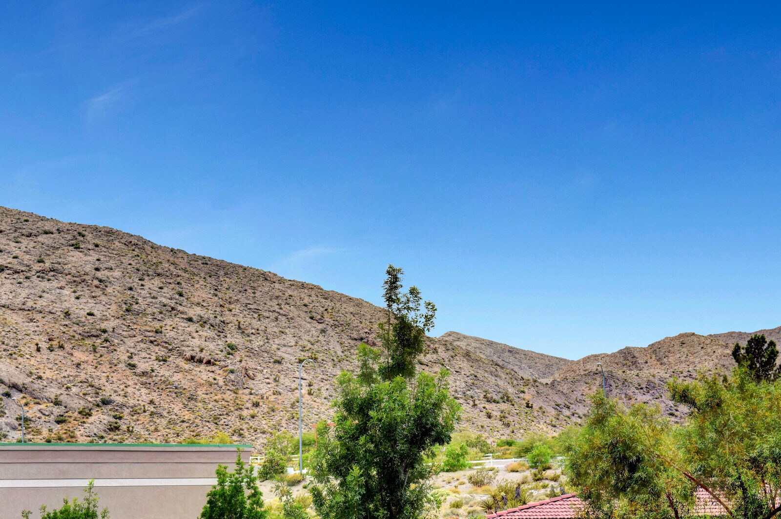 Building Photo - 3351 Indian Shadow St