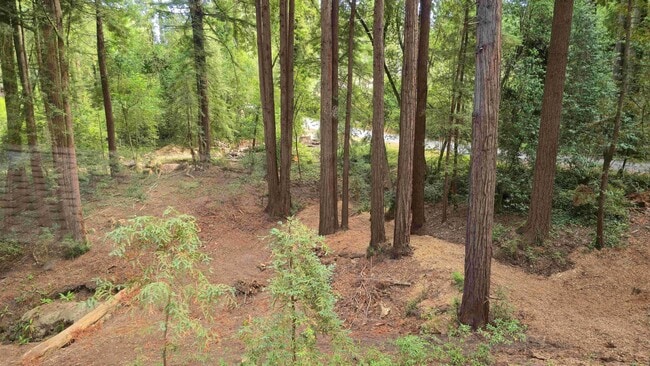 Building Photo - Beautifully Remodeled Sanctuary Nestled On...