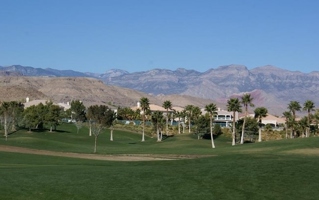 Building Photo - 494 Newberry Springs Dr