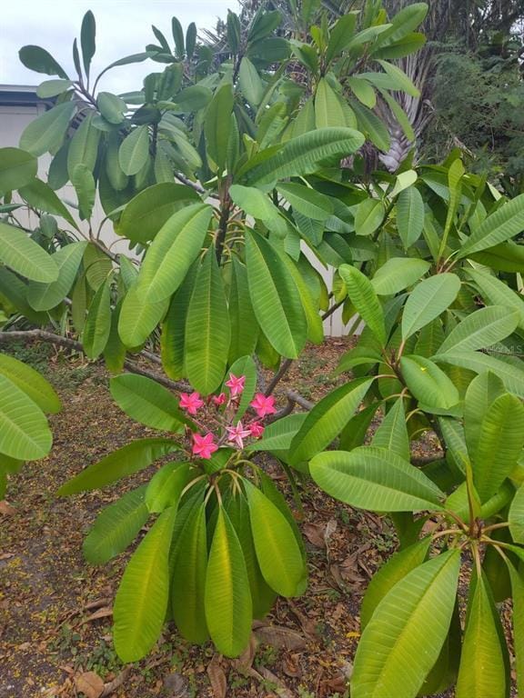 Building Photo - 901 Peninsula Rd