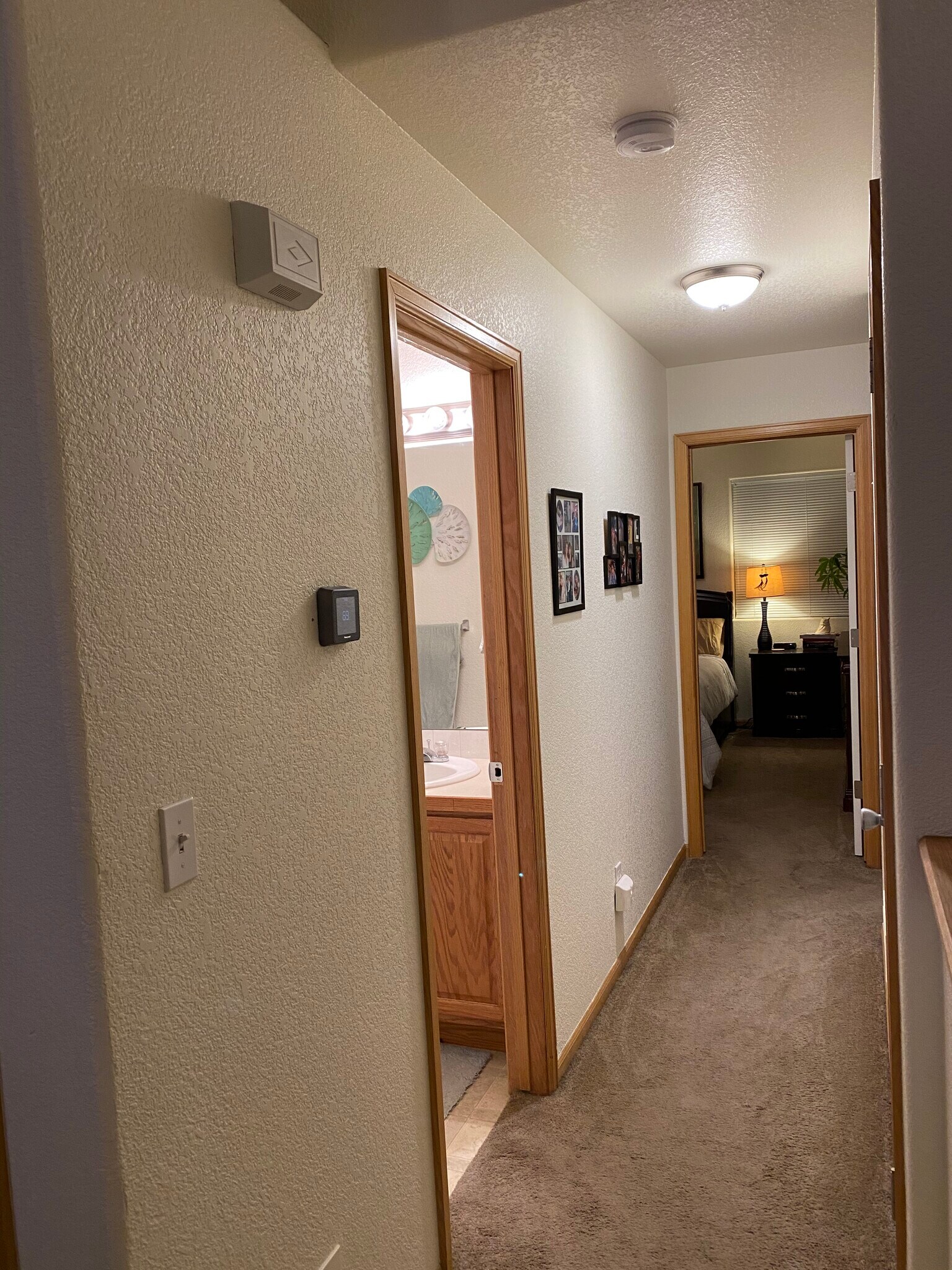 Main level hall - 3761 Mt Flora St