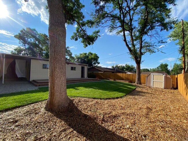 Building Photo - Spacious & Updated Home in Lakewood!-Open Floor plan, Outdoor Living Space, Garden Beds, & More!!!