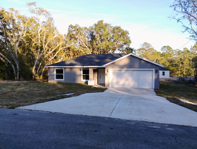 Primary Photo - New Ocklawaha Home