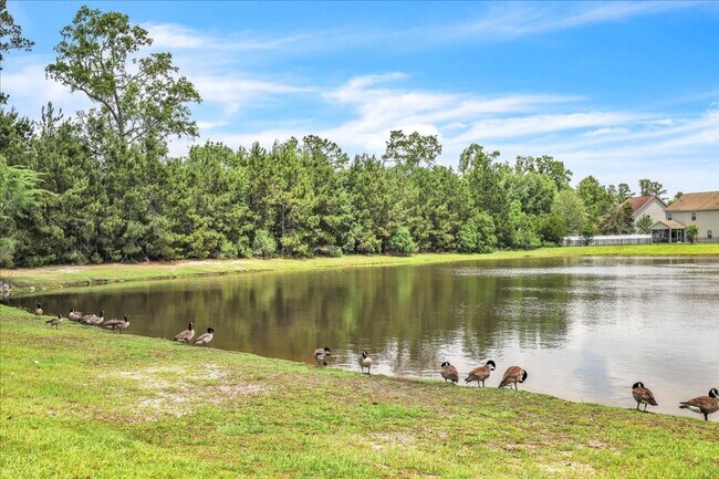 Building Photo - Spacious 4 Bed, 2.5 Bath in White Oak