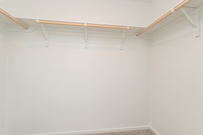 Building Photo - 10814 Bird Of Paradise Ln