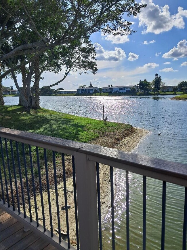 Building Photo - 361 Windsor N