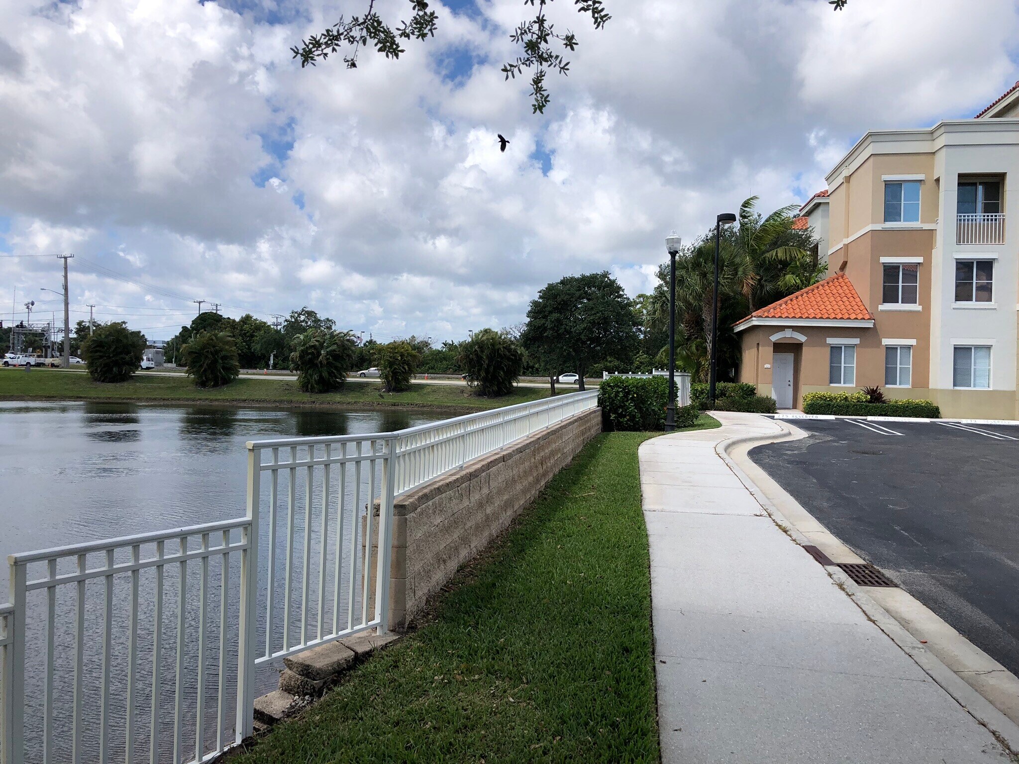 Pond area next to condo - 11041 Legacy Blvd