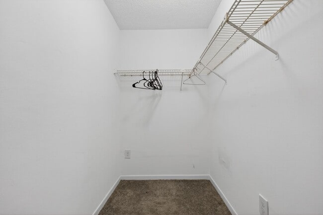 Building Photo - Cozy 3 Bedroom Available in Tampa!