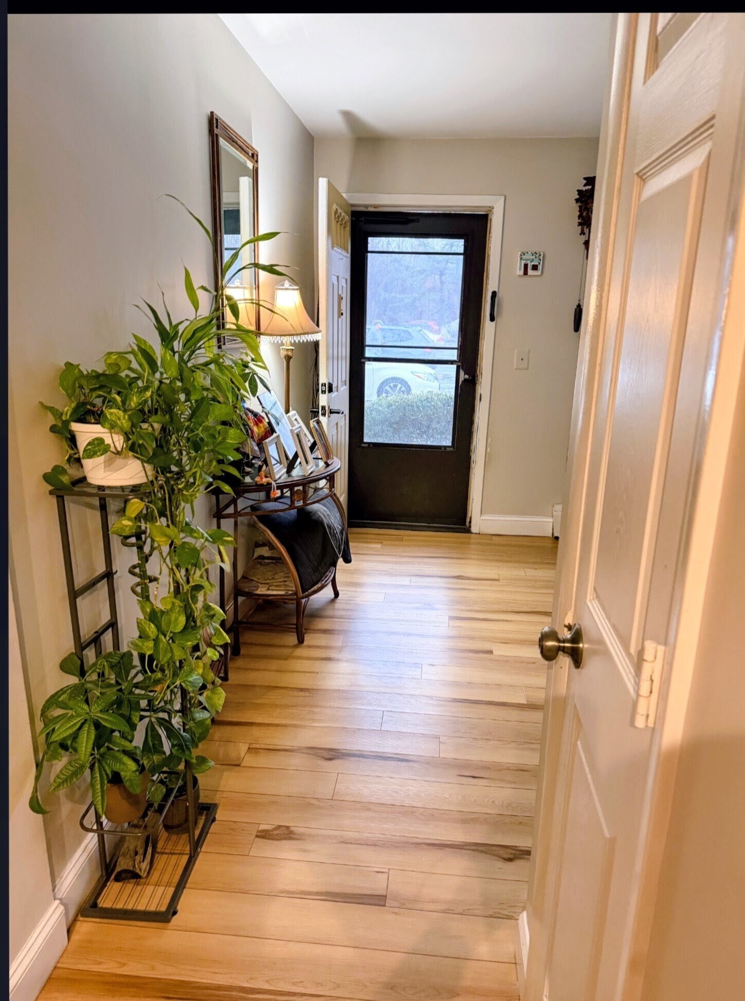 Building Photo - 331 Cricket Ln