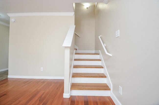 Building Photo - 3210 Sunny Meadows Ln