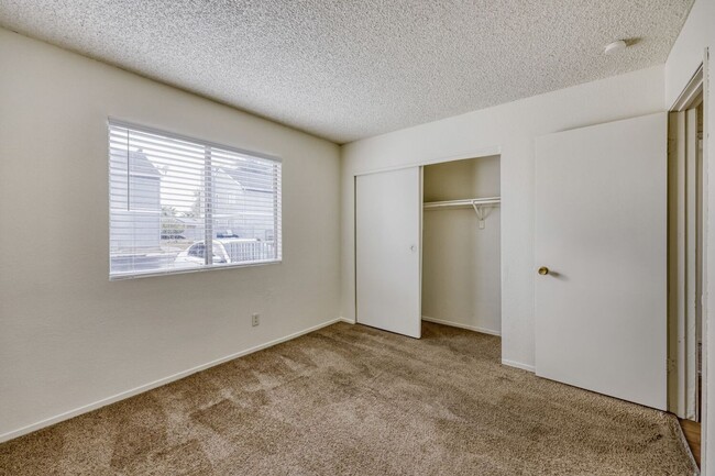 Building Photo - Cozy 2-Bedroom Apartment with Open Layout