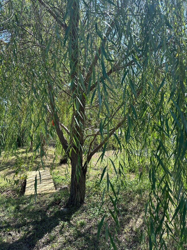 Building Photo - 849 N Third St