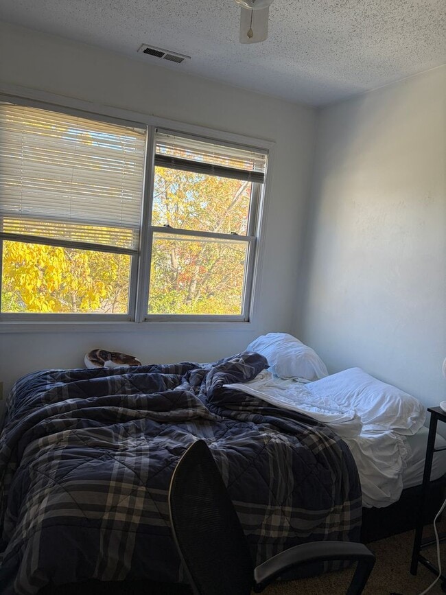 Building Photo - 3 Bed/3.5 Bath House with huge basement!