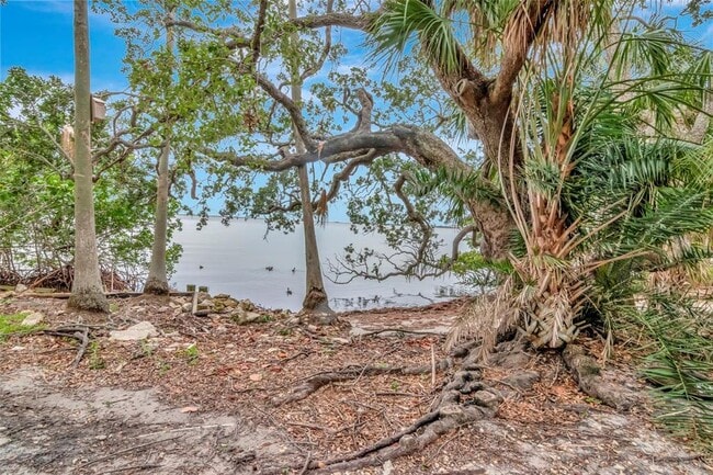 Building Photo - 6220 Bayshore Blvd