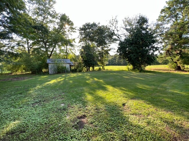 Building Photo - Adorable Apex Ranch on 2 Acres of Land!