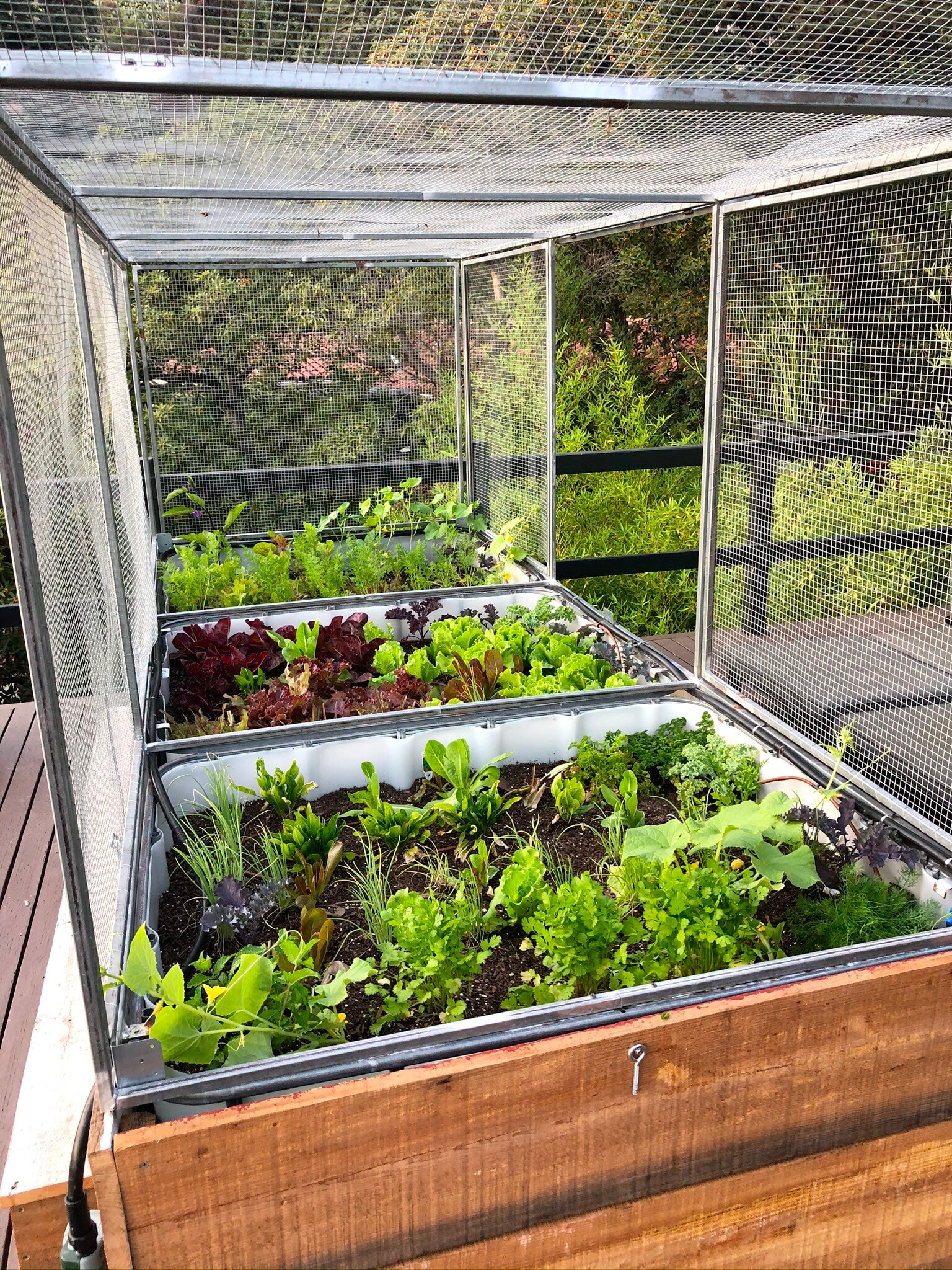 Building Photo - 2005 N Sycamore Ave