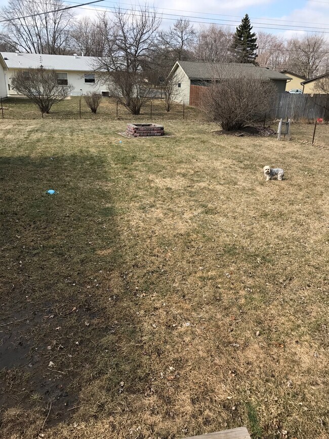 Backyard - 4223 Rahn Rd