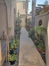 Building Photo - 2 story condo with private balcony & roof deck - blocks from the Beach