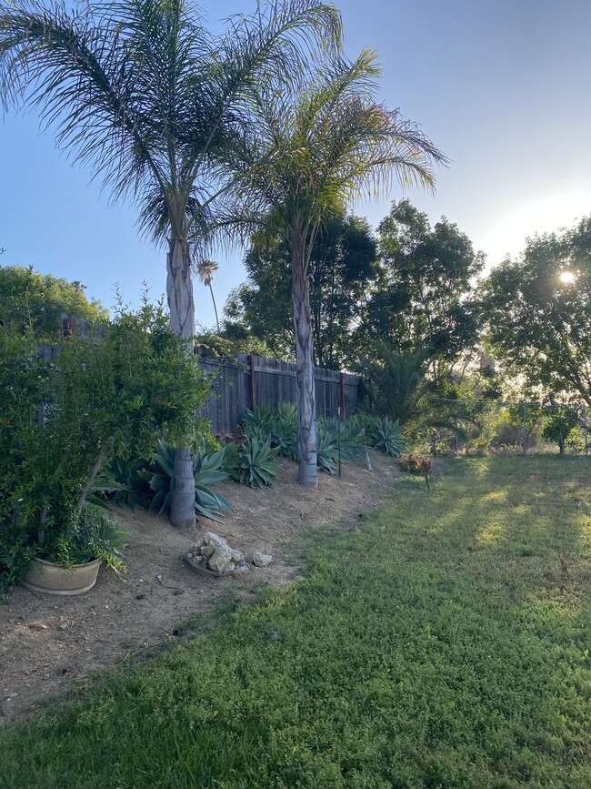 Building Photo - 1604 Avenida Del Vista