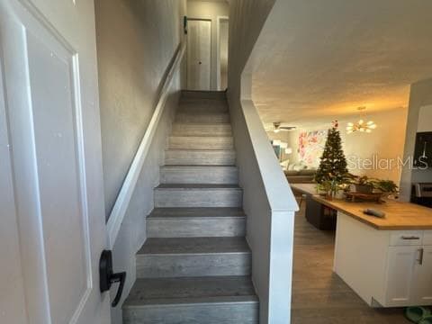 Building Photo - 11806 Cypress Hill Cir