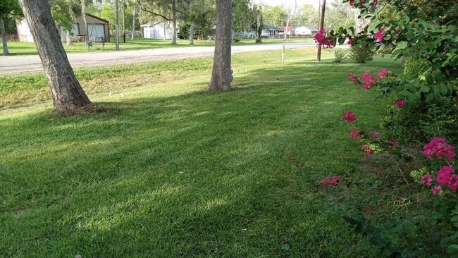 Building Photo - Gorgeous all renovated Home in Richwood, TX