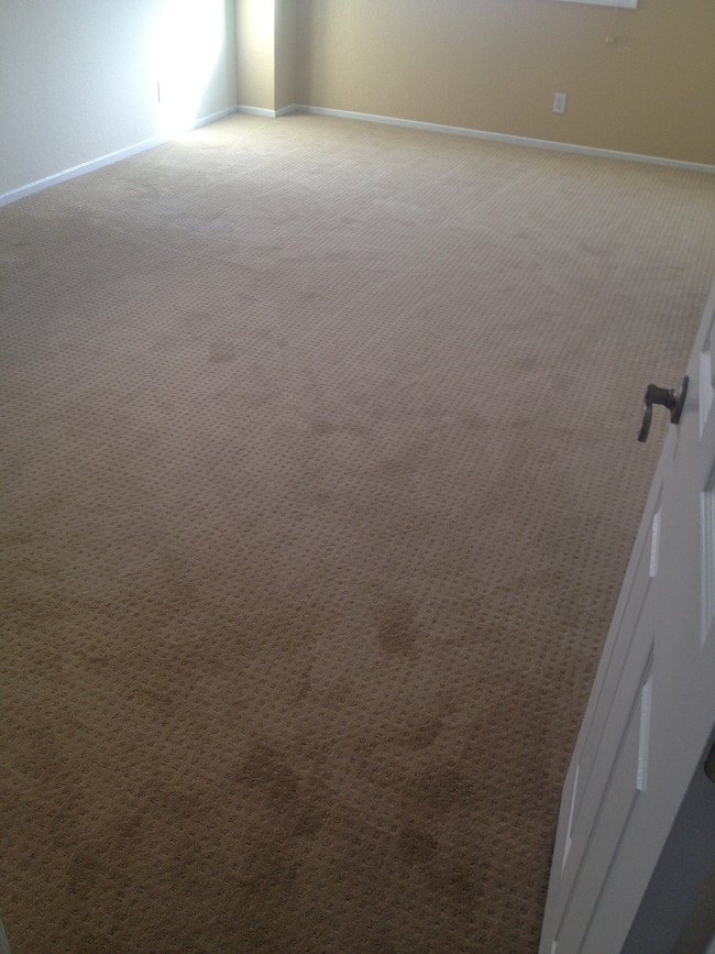 High Quality Hotel Grade Carpet - 503 E Franklin Ave