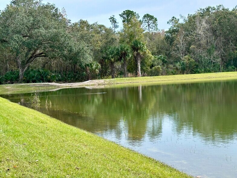 Forest preserve surrounding community - 1620 Delphi Way