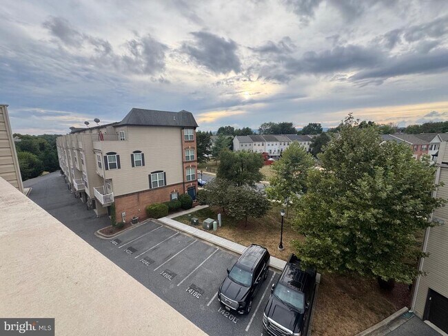 Building Photo - 1415 Trafalgar Ln