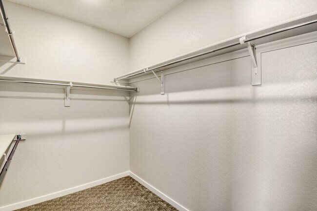 Building Photo - Brand-new residence with an ADU for rent in the highly sought-after Lyric at RidgeGate Lone Tree ...