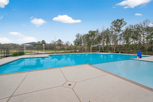 Building Photo - 24721 Majestic Cone Ln