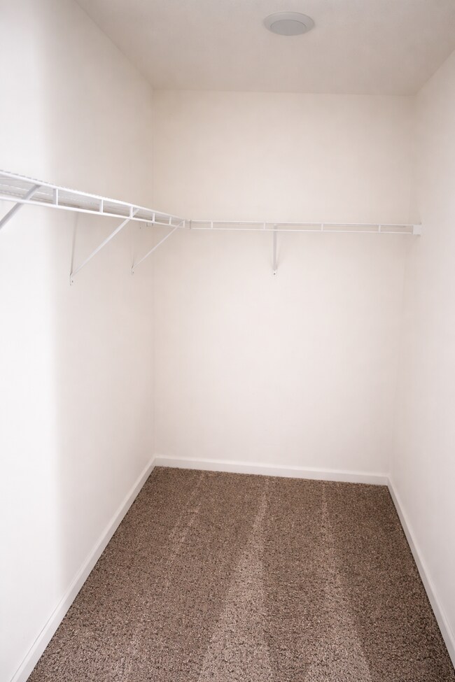 Building Photo - 516 Liberty Hall Dr