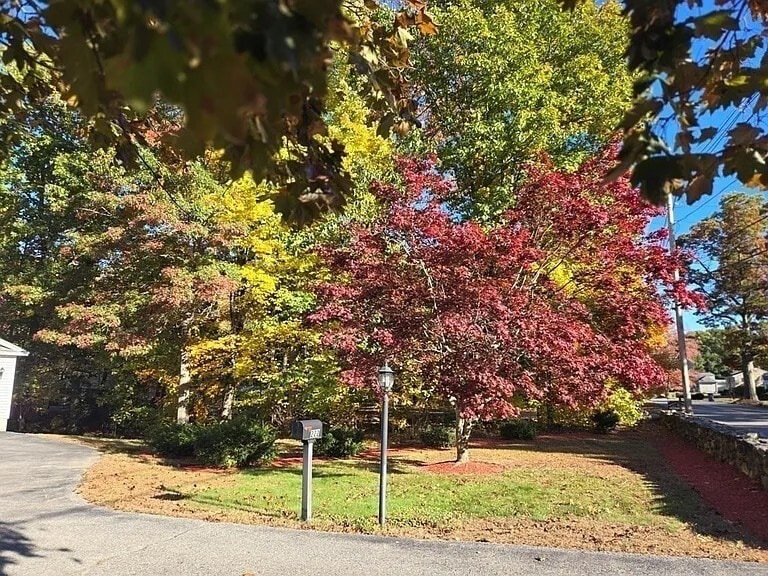 Building Photo - 222 Primrose Hill Rd