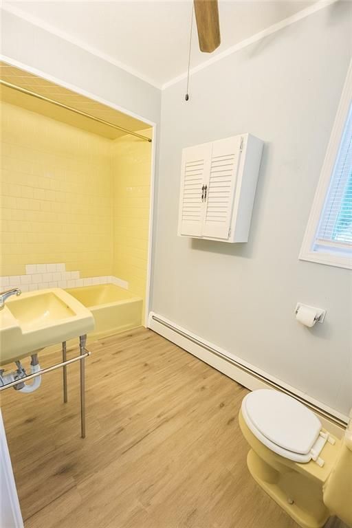 Building Photo - 14 Douglas St