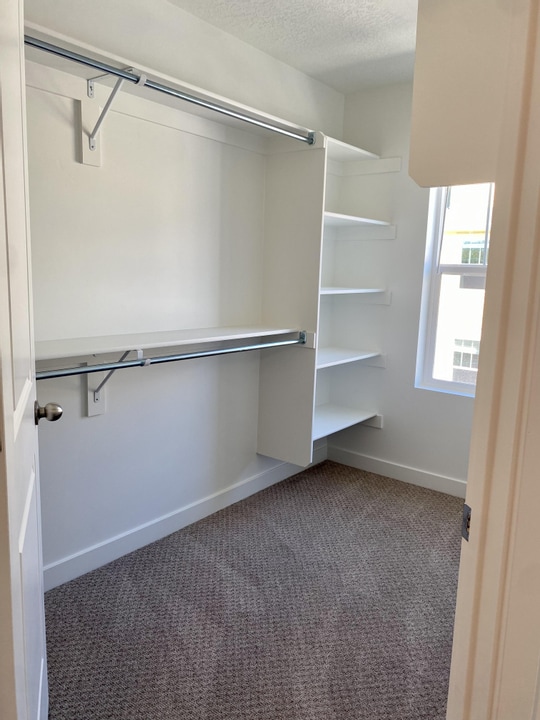 Building Photo - 638 N Autumn Ash Cir