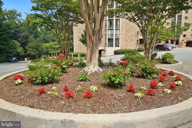 Building Photo - 5904 Mt Eagle Dr