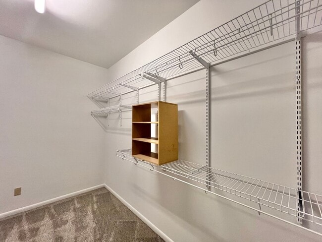 Building Photo - 3005 Hickory Tree Pl