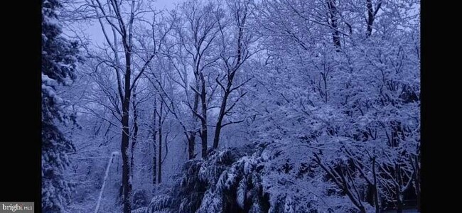 Building Photo - 25 Abel Pl