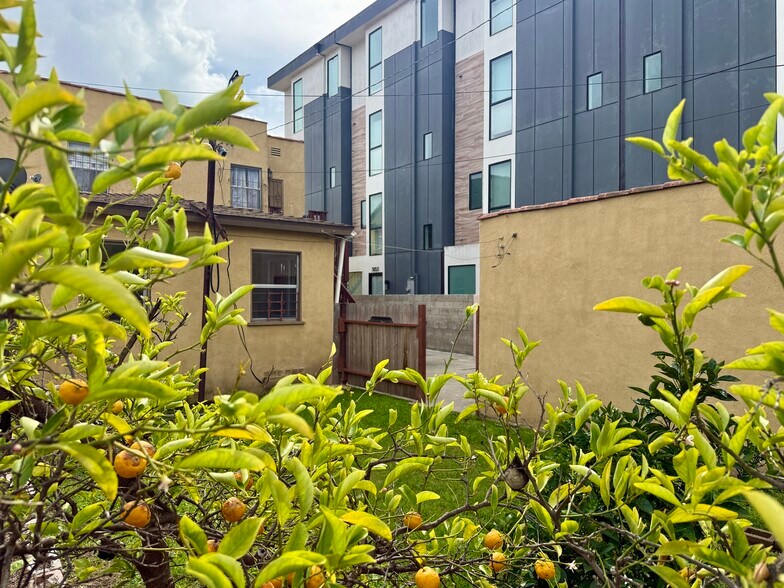 Building Photo - 1807 S Redondo Blvd